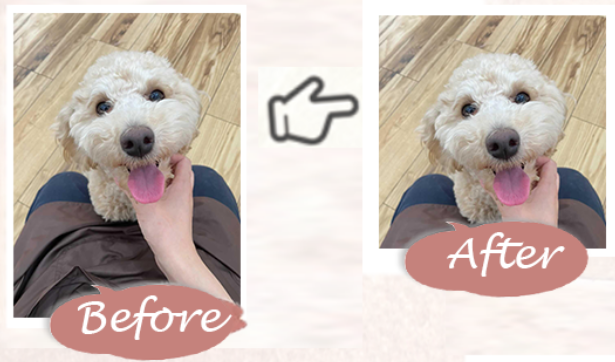 トリミングのBefore/After